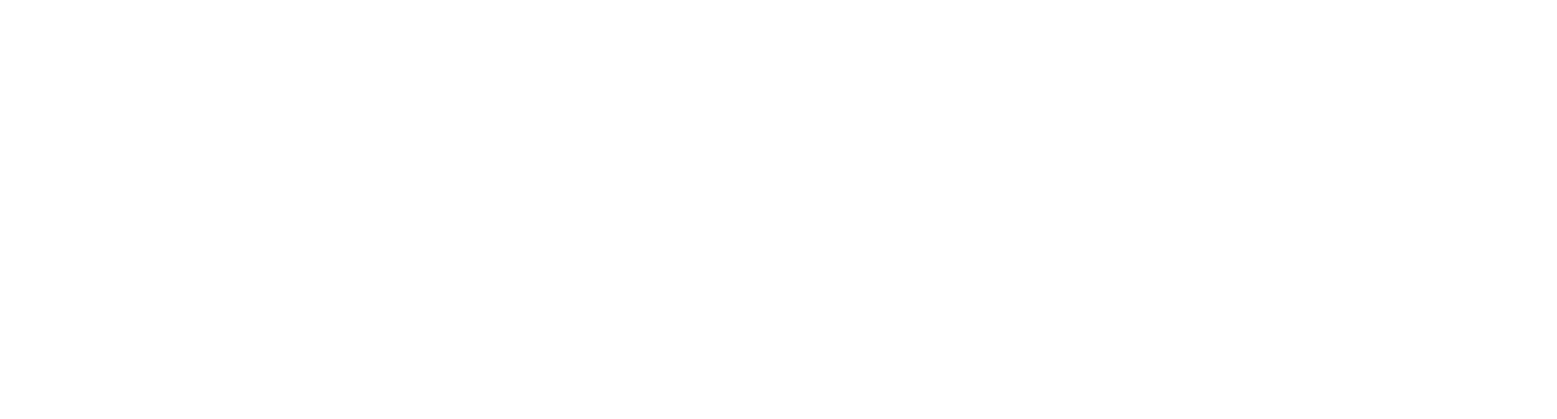intect Logo